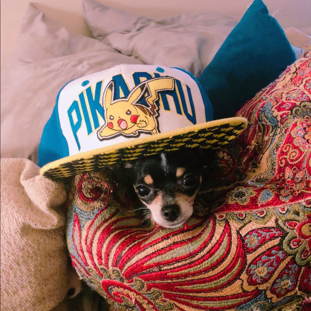 Meet your Posher, Nicolas